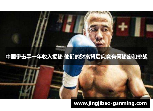 中国拳击手一年收入揭秘 他们的财富背后究竟有何秘密和挑战