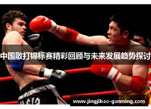 中国散打锦标赛精彩回顾与未来发展趋势探讨